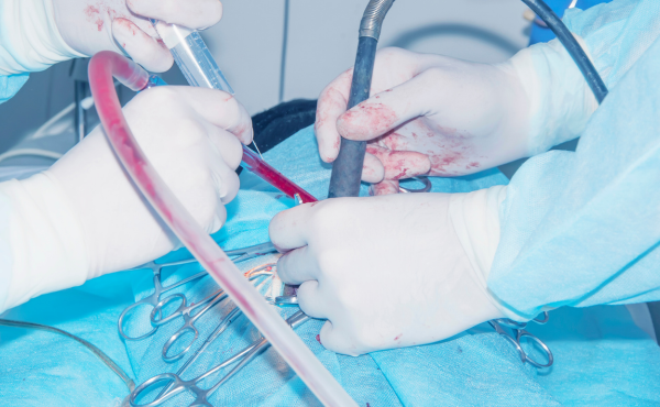 Invisalign and Orthodontic Care